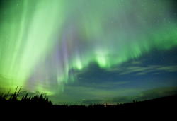 AIクリエイティブセッションの様子